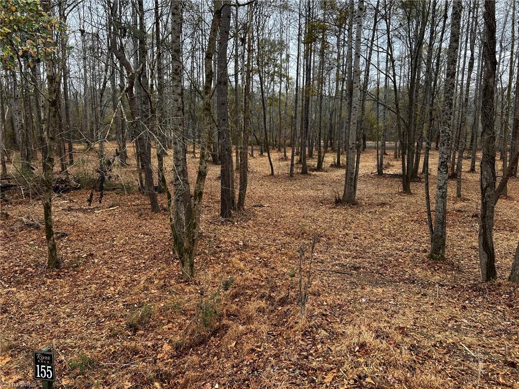 155a Lookout Dam Road Property Photo 17