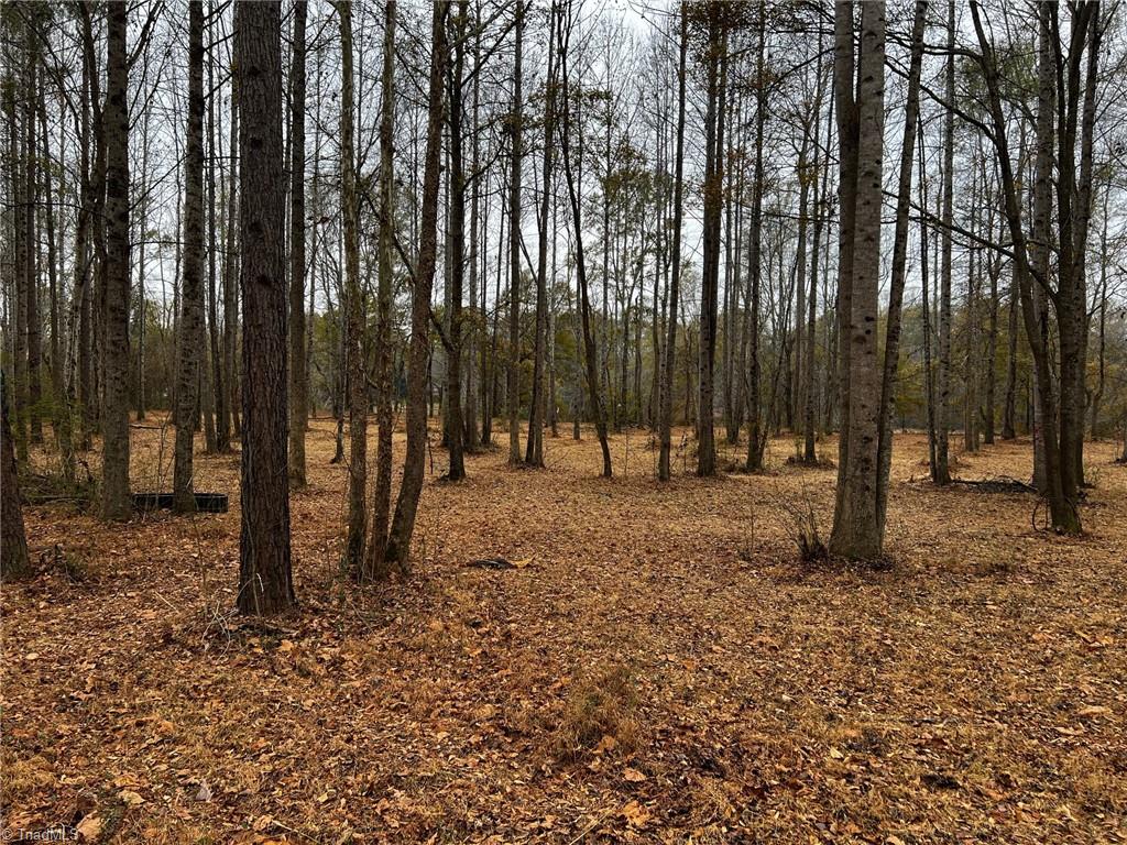 155a Lookout Dam Road Property Photo 18