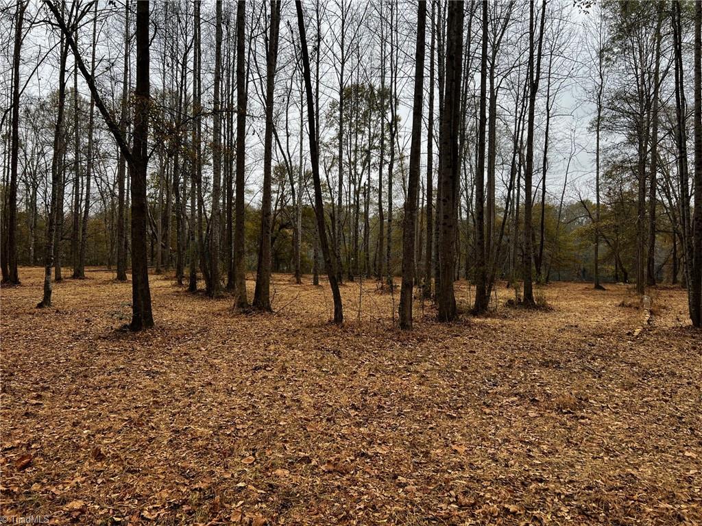 155a Lookout Dam Road Property Photo 19