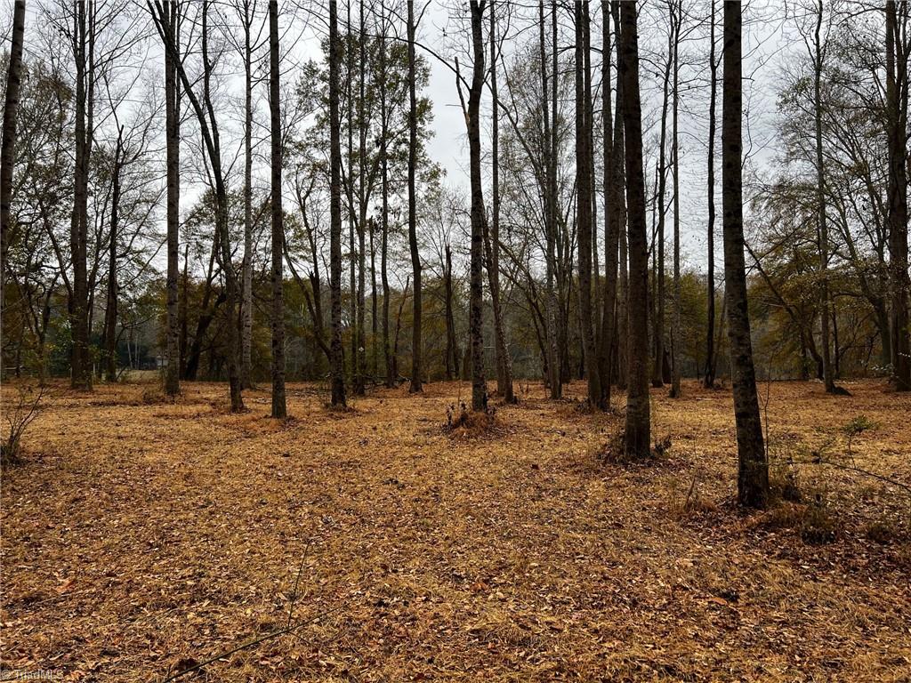 155a Lookout Dam Road Property Photo 20