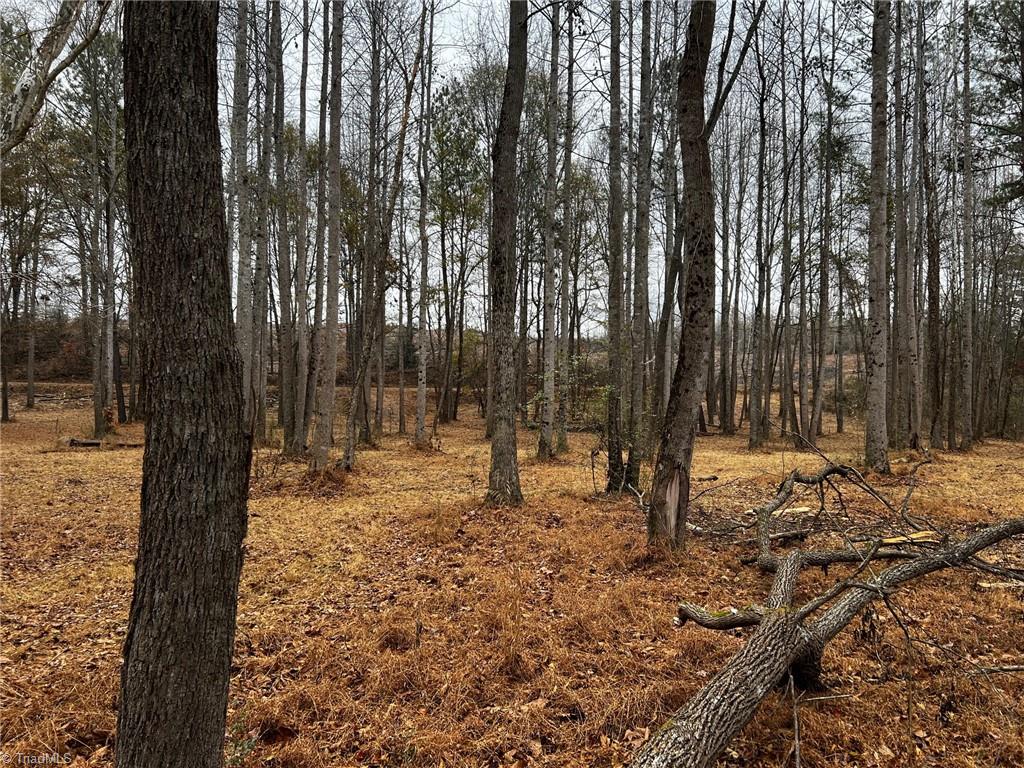 155a Lookout Dam Road Property Photo 26