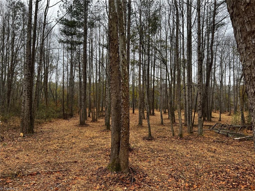 156a Lookout Dam Road Property Photo 12