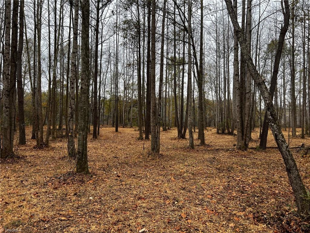 156a Lookout Dam Road Property Photo 13
