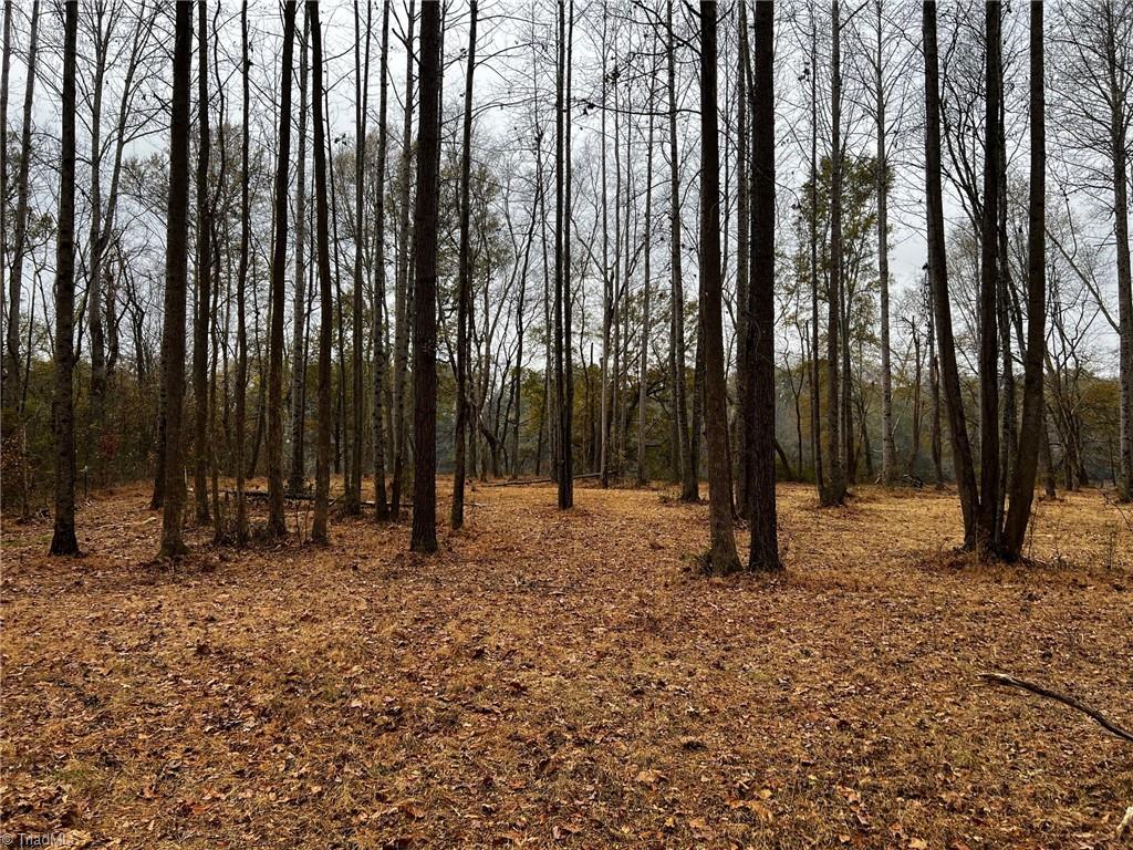 156a Lookout Dam Road Property Photo 14