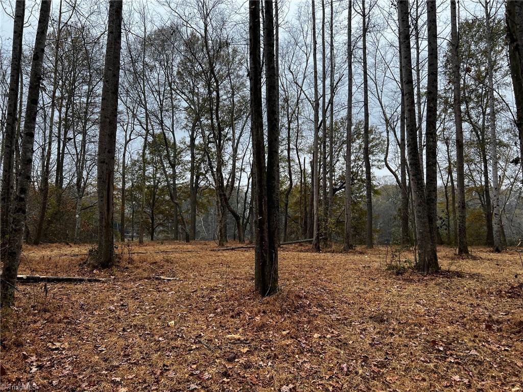 156a Lookout Dam Road Property Photo 15