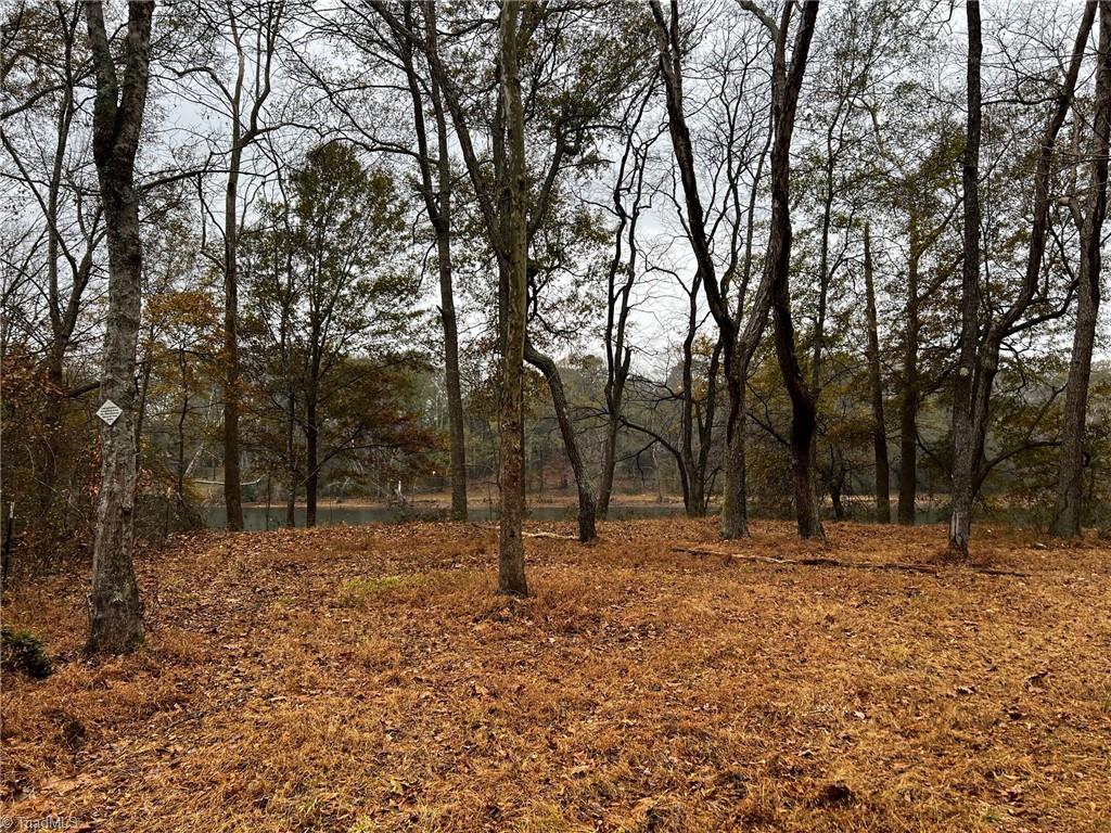 156a Lookout Dam Road Property Photo 16