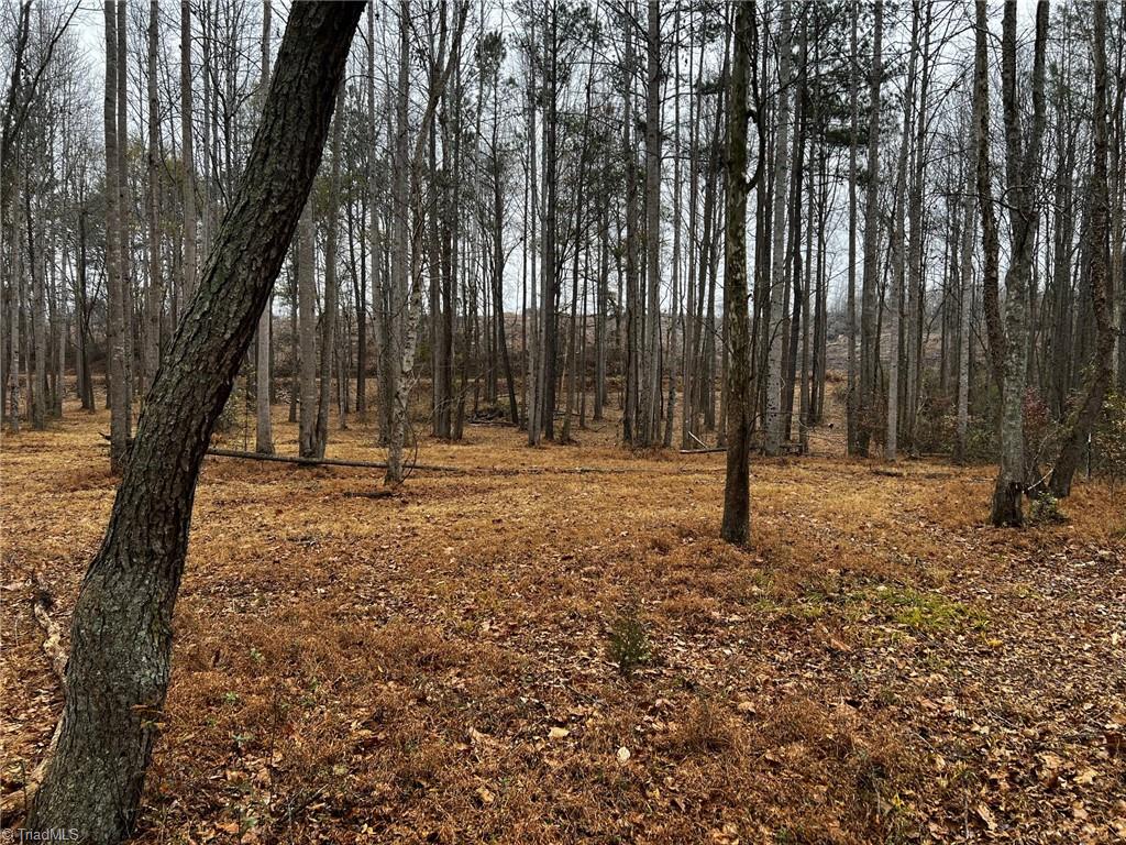 156a Lookout Dam Road Property Photo 21