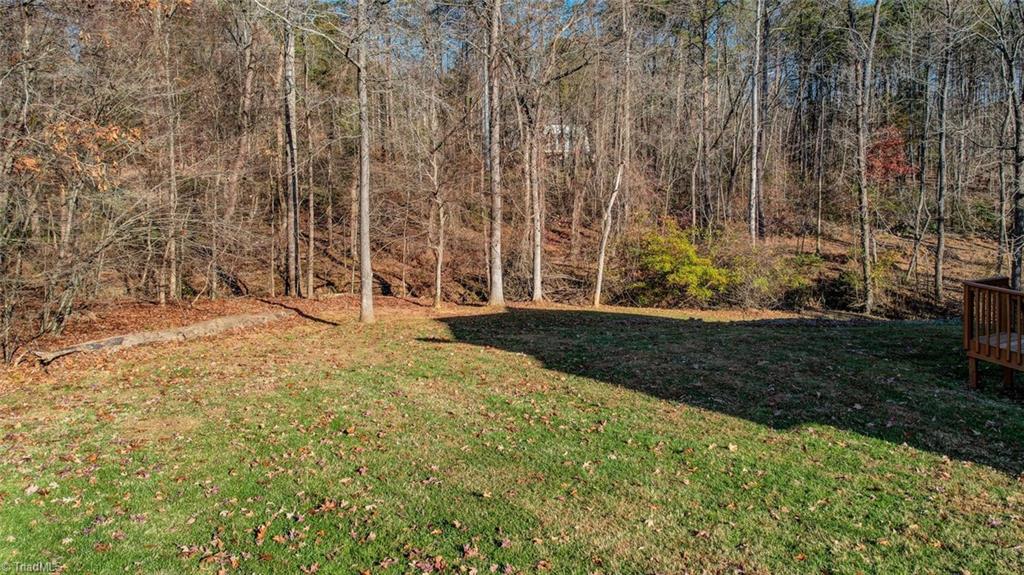 206 Pine Hill Court Property Photo 34