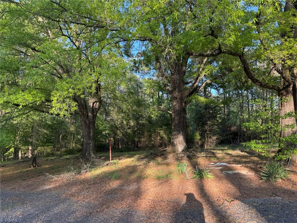 103 Hanna Street Property Photo 29