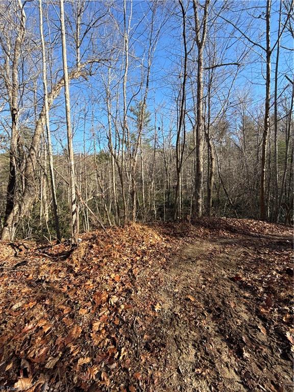 0 Cherry Grove Road Property Photo
