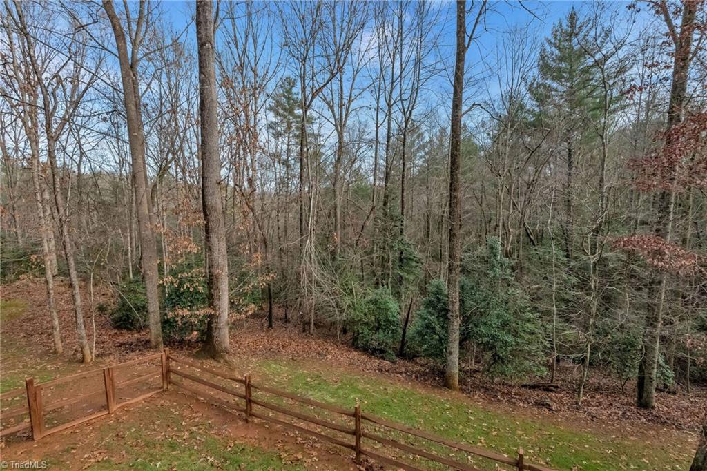 128 Golden Trout Drive Property Photo 10