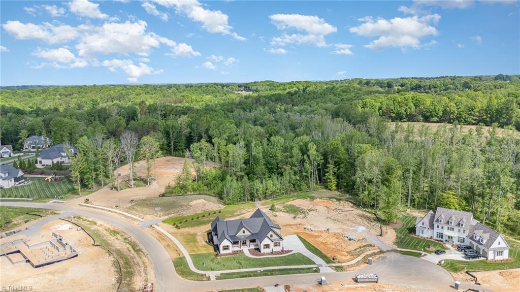 8800 Knoll Creek Court Property Photo 44