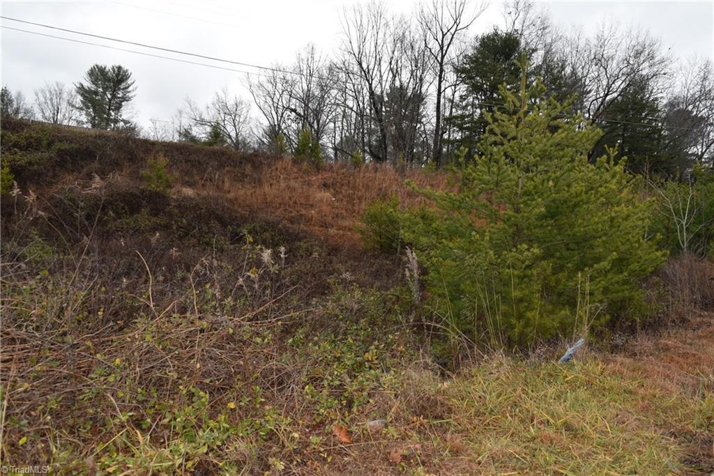 0 Andy Griffith Parkway Property Photo 1