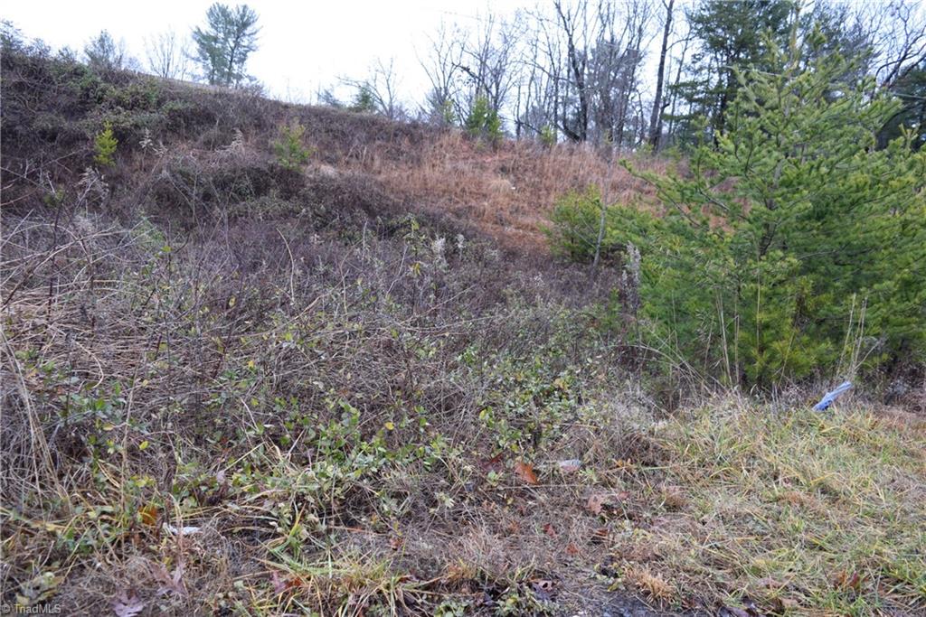 0 Andy Griffith Parkway Property Photo 2