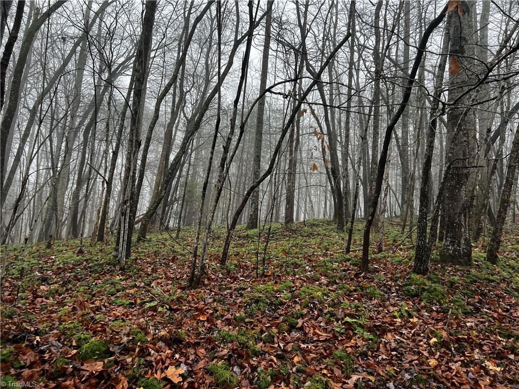 140 Daniels Dell Lane Property Photo 3