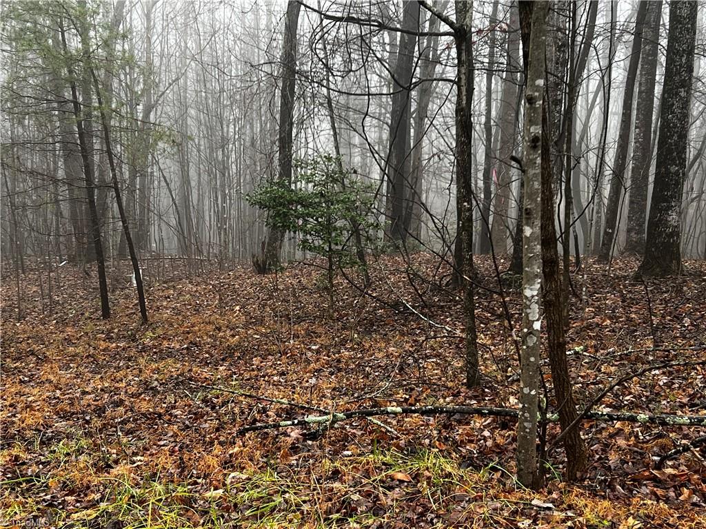 140 Daniels Dell Lane Property Photo 4