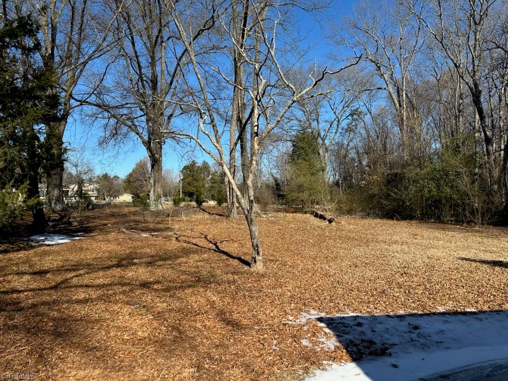 811 Birch Lane Property Photo 1