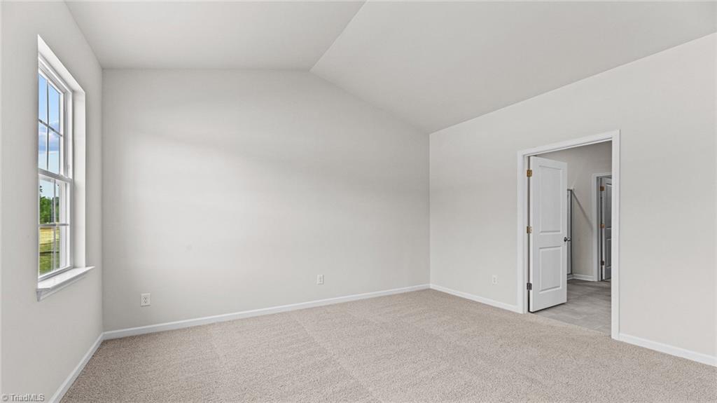 6976 Saddlebred Drive Property Photo 22