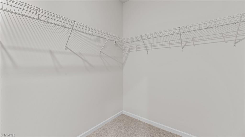 6976 Saddlebred Drive Property Photo 29