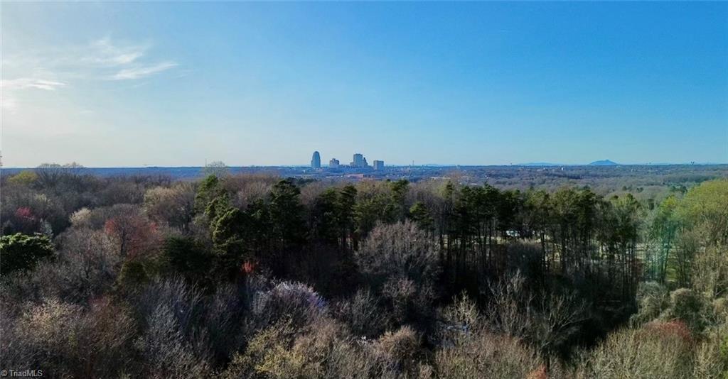 0 Flatrock Street Property Photo 6