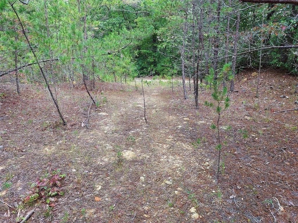 71 Elk Horn Road Property Photo 2