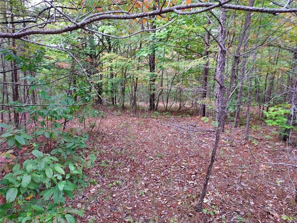 71 Elk Horn Road Property Photo 3