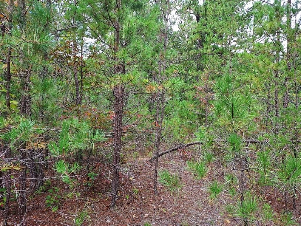 71 Elk Horn Road Property Photo 4