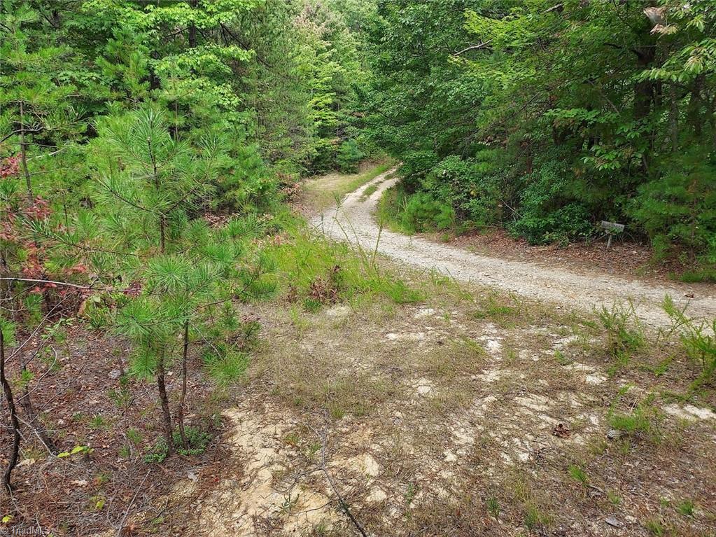 71 Elk Horn Road Property Photo 5