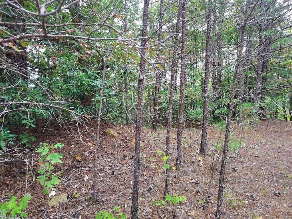 71 Elk Horn Road Property Photo 6