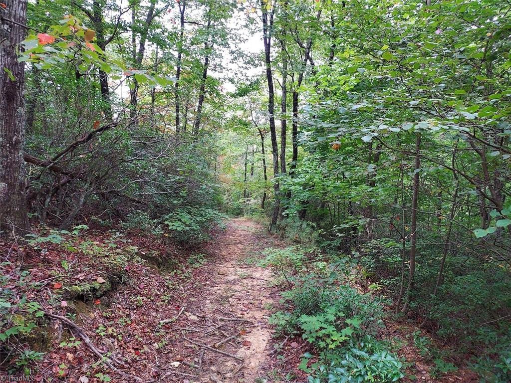 71 Elk Horn Road Property Photo 7