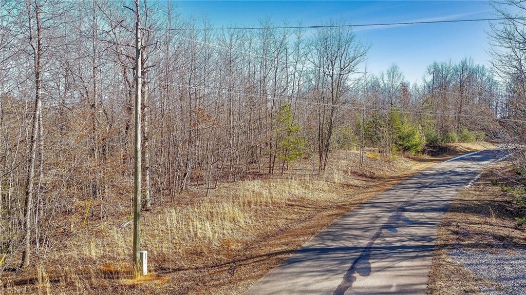 Lot 19 Longview Bluffs Property Photo