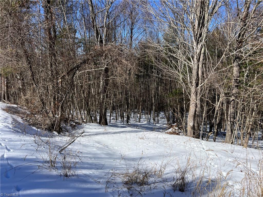 Tbd (lots 13 & 14) Timberwilde Drive Property Photo 2