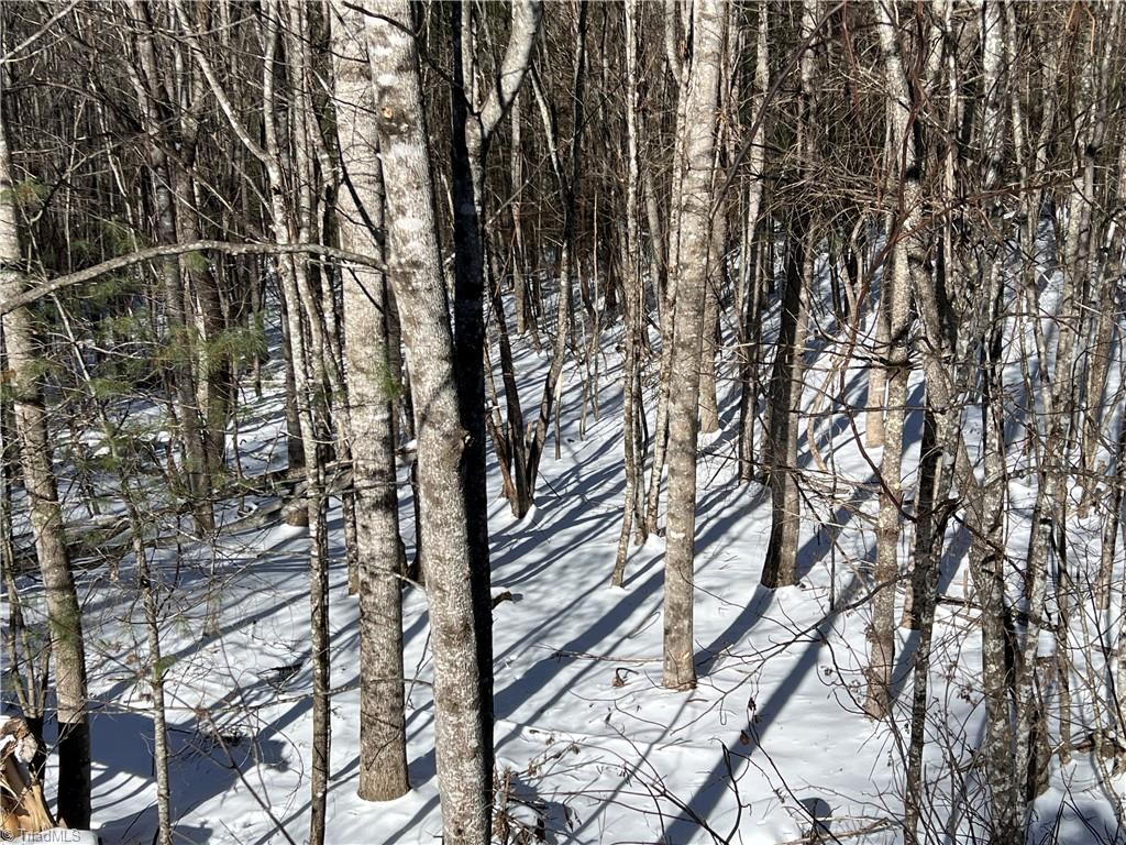 Tbd (lots 13 & 14) Timberwilde Drive Property Photo 4