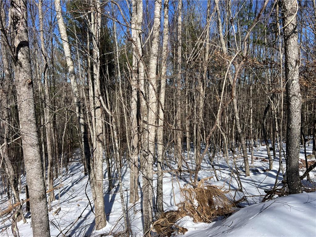 Tbd (lots 13 & 14) Timberwilde Drive Property Photo 7