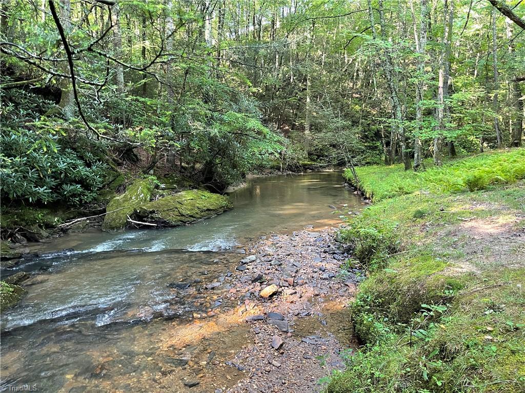 Tbd (lots 13 & 14) Timberwilde Drive Property Photo 8