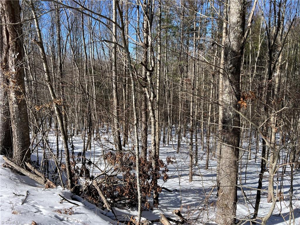 Tbd (lots 13 & 14) Timberwilde Drive Property Photo 11