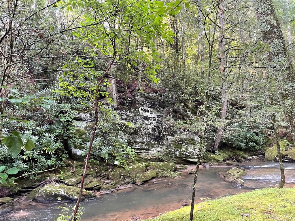 Tbd (lots 13 & 14) Timberwilde Drive Property Photo 12