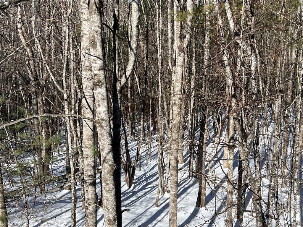 Tbd (lots 13 & 14) Timberwilde Drive Property Photo 14