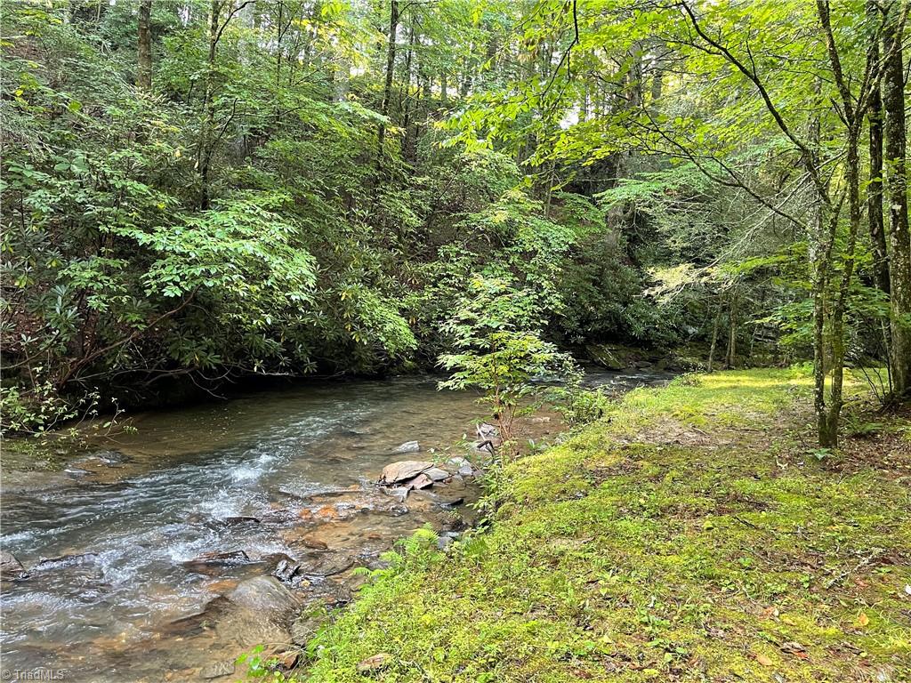 Tbd (lots 13 & 14) Timberwilde Drive Property Photo 15