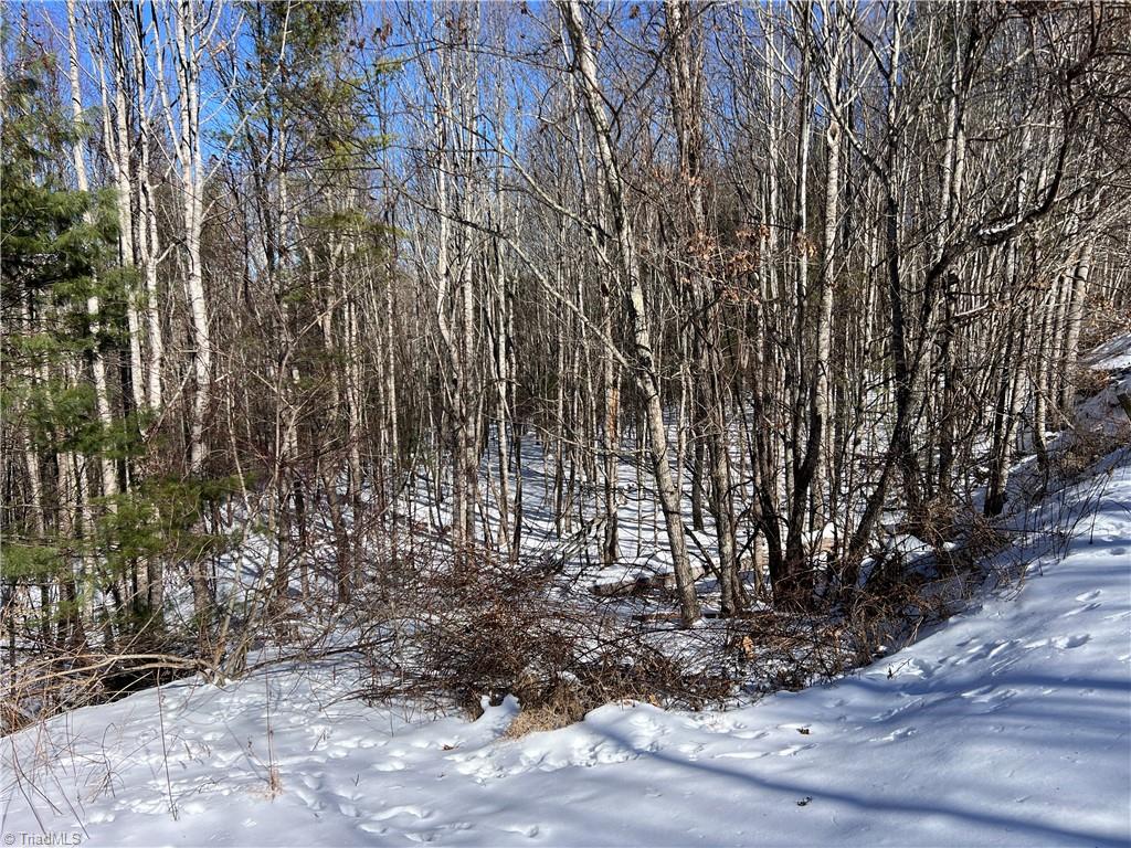 Tbd (lots 13 & 14) Timberwilde Drive Property Photo 16