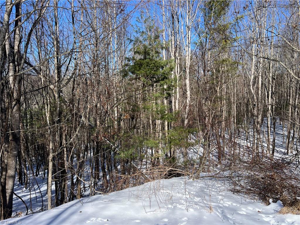 Tbd (lots 13 & 14) Timberwilde Drive Property Photo 17