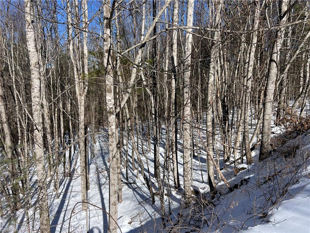 Tbd (lots 13 & 14) Timberwilde Drive Property Photo 18