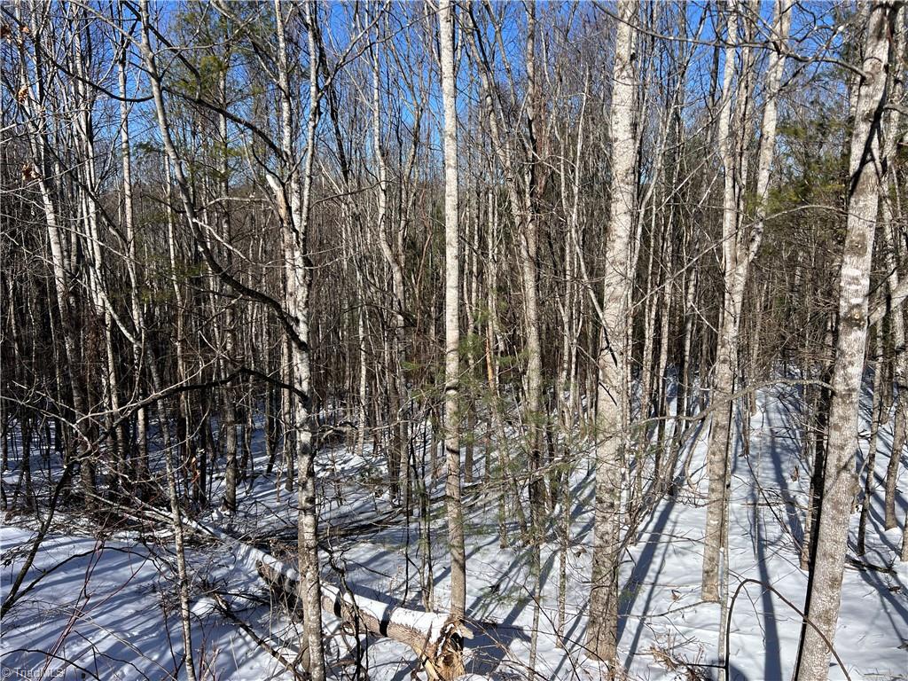 Tbd (lots 13 & 14) Timberwilde Drive Property Photo 19