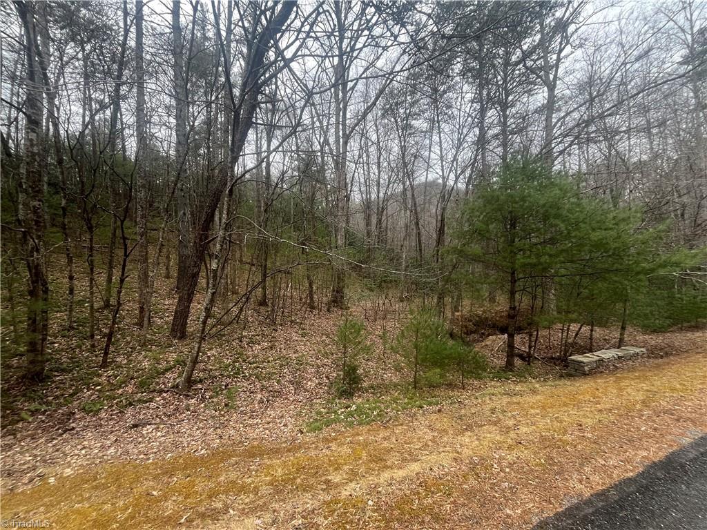 Tbd Jonathan Drive Property Photo