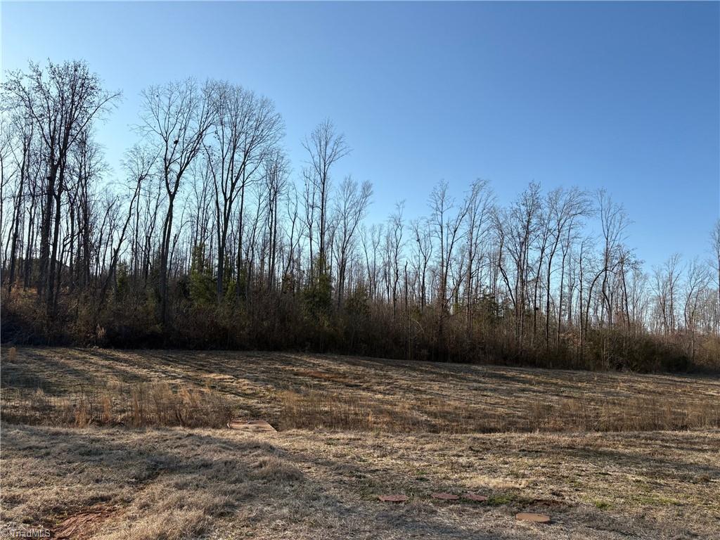 Tract 5 Gallimore Dairy Road Property Photo