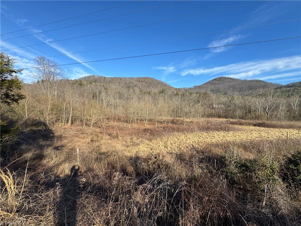 Tbd Nc Highway 16 Property Photo