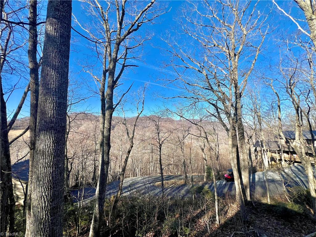 305 Laurel Mountain Estates Drive Property Photo 1
