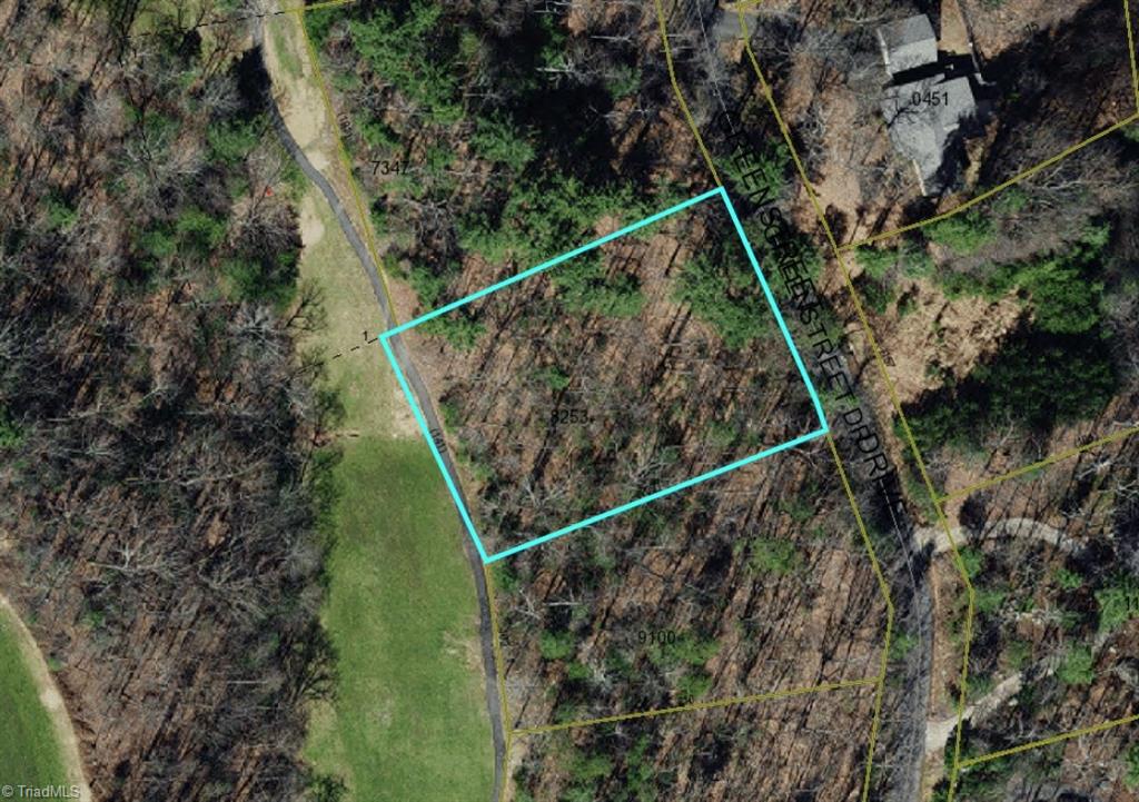 Lot # 41 Greenstreet Drive Property Photo