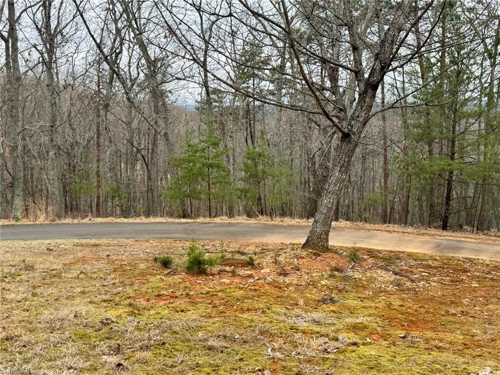 295 Cascading Creek Trail Property Photo
