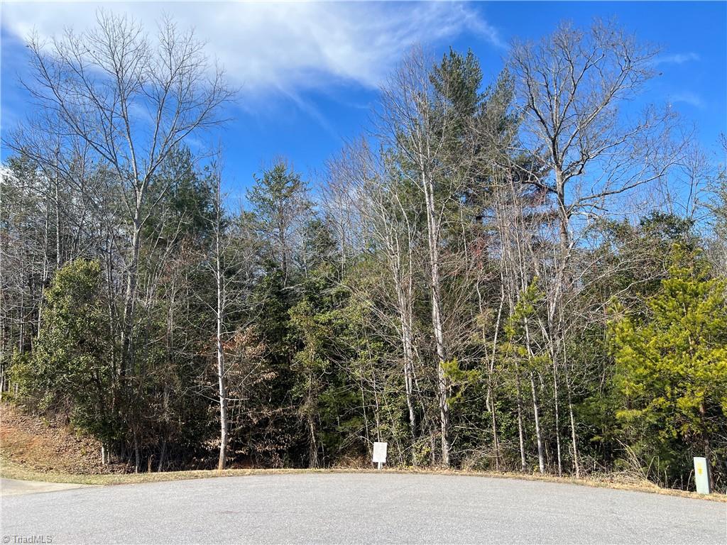 Lot 29 Chase Lane Property Photo